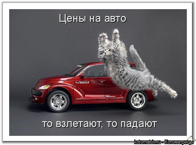 Цены на авто то взлетают, то падают... Котоматрица: Цены на авто то взлетают, то падают