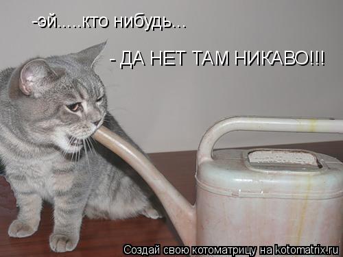 -эй.....кто нибудь... - ДА НЕТ ТАМ НИКАВО!!!... Котоматрица: -эй.....кто нибудь... - ДА НЕТ ТАМ НИКАВО!!!