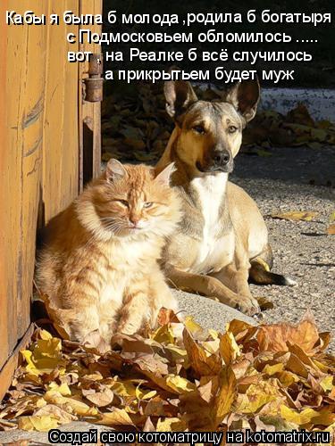 Кабы я была б молода с Подмосковьем обломилось ..... вот , на Реалке б всё случилось ,родила б богаты... Котоматрица: Кабы я была б молода с Подмосковьем обломилось ..... вот , на Реалке б всё случилось ,родила б богатыря а прикрытьем будет муж