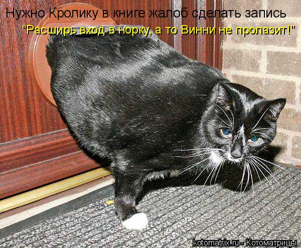 Котоматрица: Нужно Кролику в книге жалоб сделать запись "Расширь вход в норку, а то Винни не пролазит!"