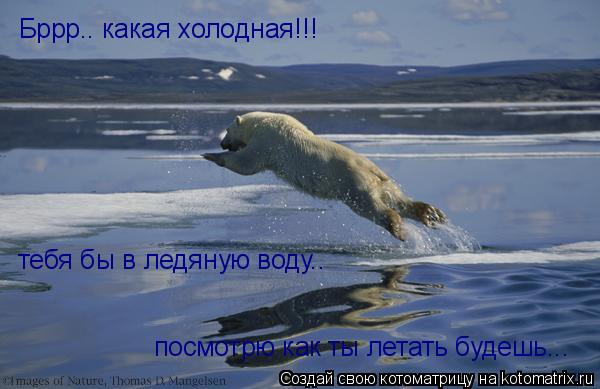 Бррр.. какая холодная!!! тебя бы в ледяную воду.. посмотрю как ты летать будешь...... Котоматрица: Бррр.. какая холодная!!! тебя бы в ледяную воду.. посмотрю как ты летать будешь...