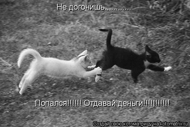 Не догонишь............ Попался!!!!!! Отдавай деньги!!!!!!!!!!!... Котоматрица: Не догонишь............ Попался!!!!!! Отдавай деньги!!!!!!!!!!!