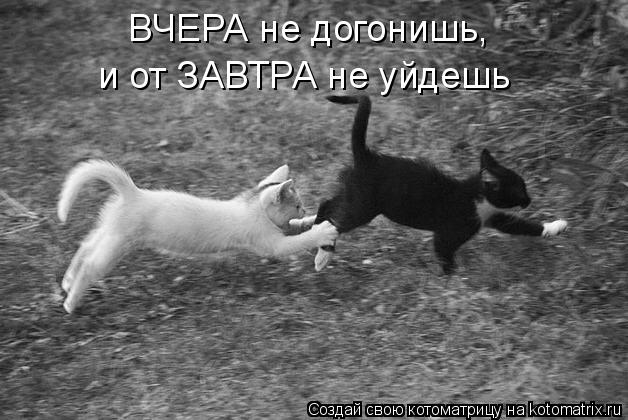 ВЧЕРА не догонишь, и от ЗАВТРА не уйдешь... Котоматрица: ВЧЕРА не догонишь, и от ЗАВТРА не уйдешь
