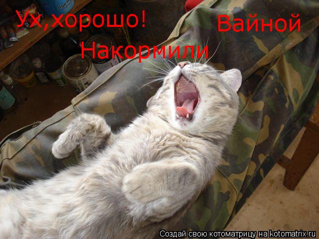 Котоматрица: Ух,хорошо! Накормили  Вайной
