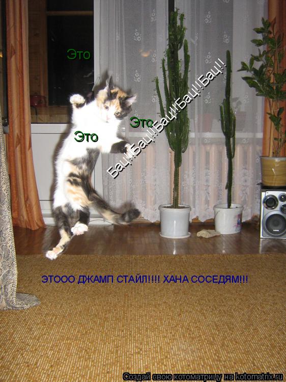 Это Это Это Бац!!Бац!!Бац!!Бац!!Бац!! ЭТООО ДЖАМП СТАЙЛ!!!! ХАНА СОСЕДЯМ!!!... Котоматрица: Это Это Это Бац!!Бац!!Бац!!Бац!!Бац!! ЭТООО ДЖАМП СТАЙЛ!!!! ХАНА СОСЕДЯМ!!!
