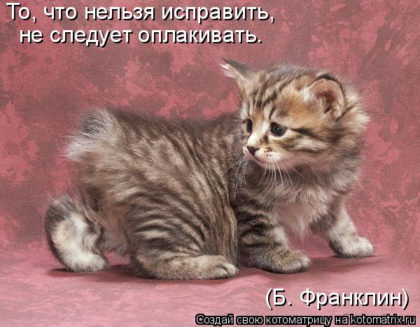 То, что нельзя исправить, не следует оплакивать. (Б. Франклин)... Котоматрица: То, что нельзя исправить, не следует оплакивать. (Б. Франклин)