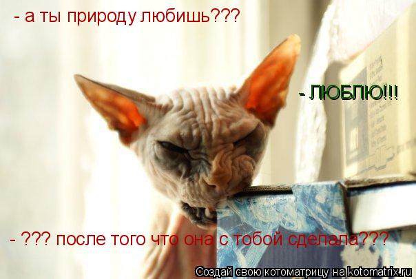 - а ты природу любишь??? - ЛЮБЛЮ!!! - ??? после того что она с тобой сделала???... Котоматрица: - а ты природу любишь??? - ЛЮБЛЮ!!! - ??? после того что она с тобой сделала???