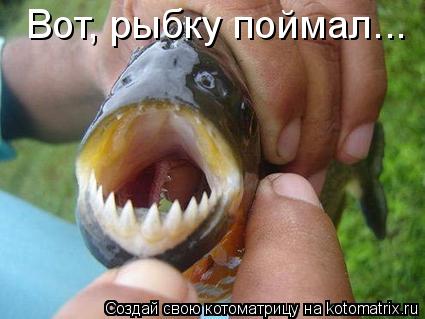 Вот, рыбку поймал...... Котоматрица: Вот, рыбку поймал...