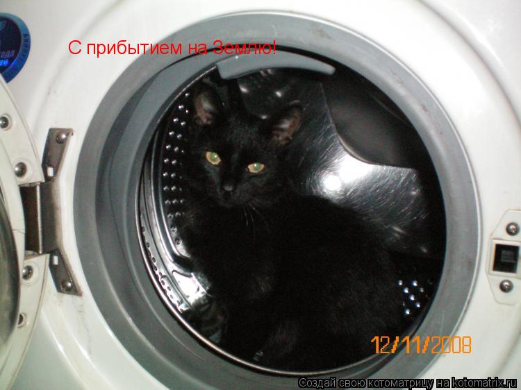 Котоматрица: С прибытием на Землю!