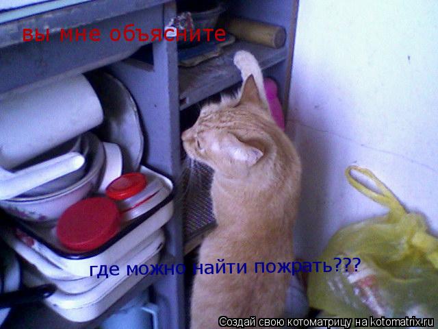 Котоматрица: вы мне объясните где можно найти пожрать???