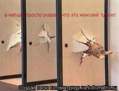 Котоматрица: а нельзя просто сказать что это женский туалет