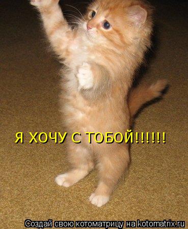 Я ХОЧУ С ТОБОЙ!!!!!!... Котоматрица: Я ХОЧУ С ТОБОЙ!!!!!!