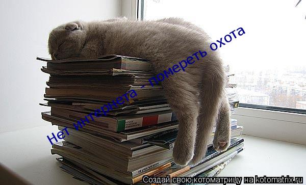 Нет интернета - помереть охота... Котоматрица: Нет интернета - помереть охота