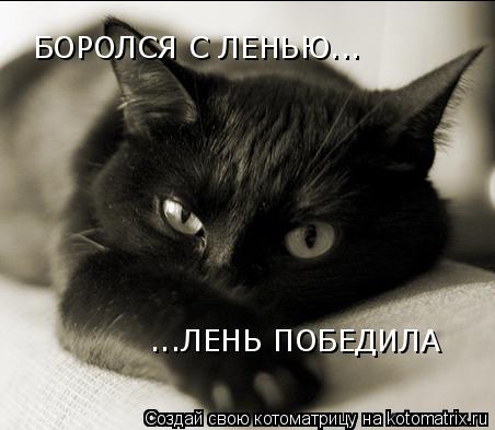 БОРОЛСЯ С ЛЕНЬЮ... ...ЛЕНЬ ПОБЕДИЛА... Котоматрица: БОРОЛСЯ С ЛЕНЬЮ... ...ЛЕНЬ ПОБЕДИЛА