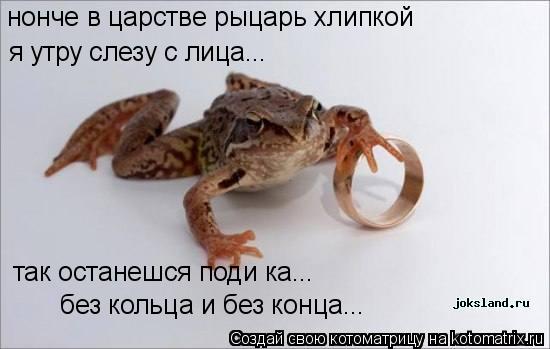 нонче в царстве рыцарь хлипкой я утру слезу с лица... так останешся поди ка... без кольца и без конца... Котоматрица: нонче в царстве рыцарь хлипкой я утру слезу с лица... так останешся поди ка... без кольца и без конца...