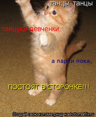 Котоматрица: танцы, танцы танцуют девченки, а парни пока, ПОСТОЯТ В СТОРОНКЕ!!!