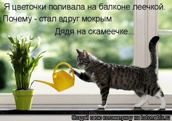 Я цветочки поливала на балконе леечкой. Почему - стал вдруг мокрым Дядя на скамеечке...... Котоматрица: Я цветочки поливала на балконе леечкой. Почему - стал вдруг мокрым Дядя на скамеечке...