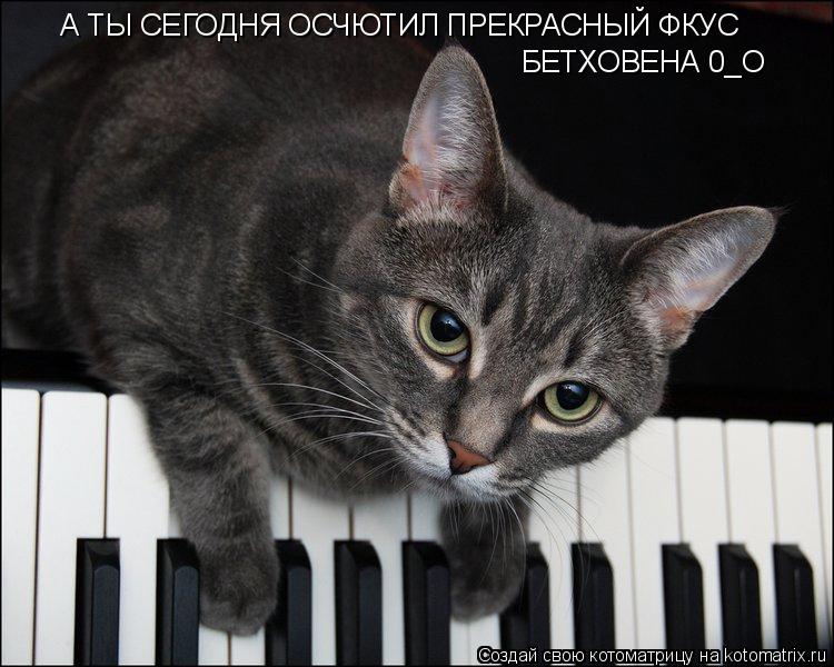 А ТЫ СЕГОДНЯ ОСЧЮТИЛ ПРЕКРАСНЫЙ ФКУС БЕТХОВЕНА 0_О... Котоматрица: А ТЫ СЕГОДНЯ ОСЧЮТИЛ ПРЕКРАСНЫЙ ФКУС БЕТХОВЕНА 0_О