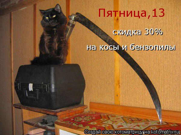 скидка 30% Пятница,13 на косы и бензопилы... Котоматрица: скидка 30% Пятница,13 на косы и бензопилы