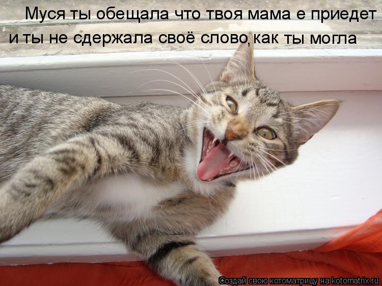 Котоматрица: Муся ты обещала что твоя мама е приедет и ты не сдержала своё слово как  ты могла ,