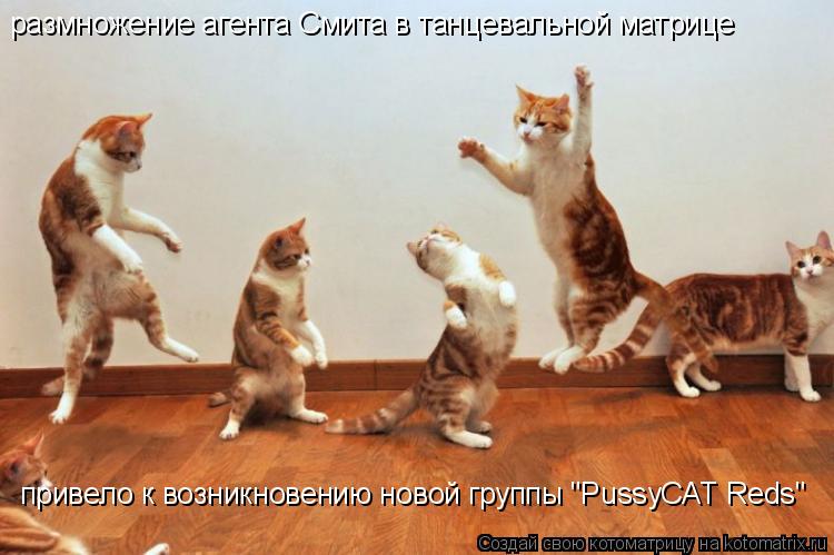 Котоматрица: размножение агента Смита в танцевальной матрице  привело к возникновению новой группы "PussyCAT Reds"
