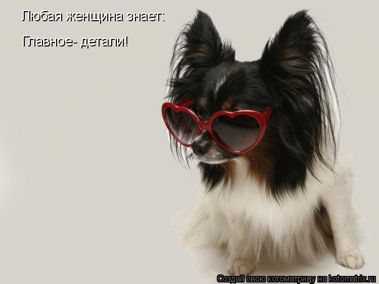 Любая женщина знает: Главное- детали!... Котоматрица: Любая женщина знает: Главное- детали!