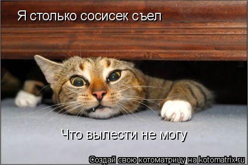 Я столько сосисек съел Что вылести не могу... Котоматрица: Я столько сосисек съел Что вылести не могу