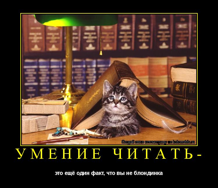 Умение читать- это ещё один факт, что вы не блондинка... Котоматрица: Умение читать- это ещё один факт, что вы не блондинка