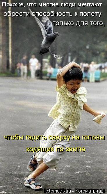 Похоже, что многие люди мечтают обрести способность к полету только для того, чтобы гадить сверху ... Котоматрица: Похоже, что многие люди мечтают обрести способность к полету только для того, чтобы гадить сверху на головы ходящих по земле
