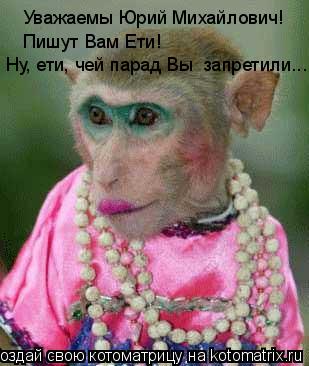 Уважаемы Юрий Михайлович! Пишут Вам Ети! Ну, ети, чей парад Вы запретили...!... Котоматрица: Уважаемы Юрий Михайлович! Пишут Вам Ети! Ну, ети, чей парад Вы запретили...!
