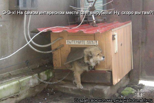 Э-Э-х! На самом интересном месте свет вырубили! Ну, скоро вы там?!... Котоматрица: Э-Э-х! На самом интересном месте свет вырубили! Ну, скоро вы там?!