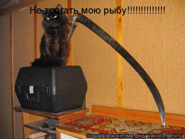 Котоматрица: Не трогать мою рыбу!!!!!!!!!!!!!!