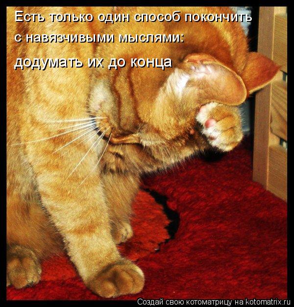 Есть только один способ покончить с навязчивыми мыслями: додумать их до конца... Котоматрица: Есть только один способ покончить с навязчивыми мыслями: додумать их до конца