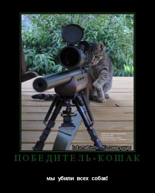 победитель-кошак мы убили всех собак!... Котоматрица: победитель-кошак мы убили всех собак!