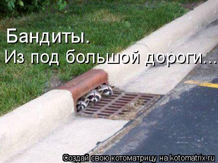 Бандиты. Из под большой дороги...... Котоматрица: Бандиты. Из под большой дороги...