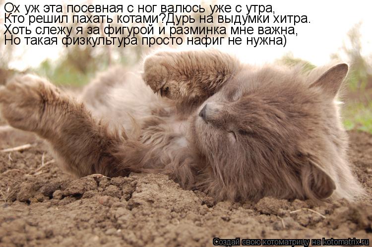 Ох уж эта посевная с ног валюсь уже с утра, Кто решил пахать котами?Дурь на выдумки хитра. Хоть слежу... Котоматрица: Ох уж эта посевная с ног валюсь уже с утра, Кто решил пахать котами?Дурь на выдумки хитра. Хоть слежу я за фигурой и разминка мне важна, Но так
