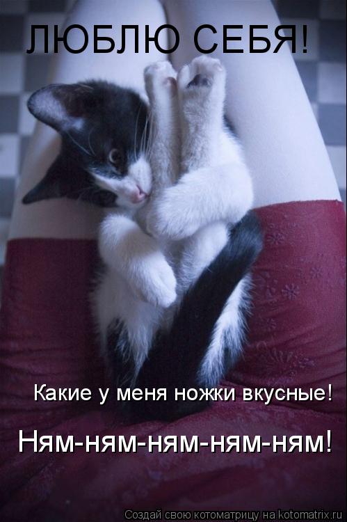 ЛЮБЛЮ СЕБЯ! Какие у меня ножки вкусные! Ням-ням-ням-ням-ням!... Котоматрица: ЛЮБЛЮ СЕБЯ! Какие у меня ножки вкусные! Ням-ням-ням-ням-ням!