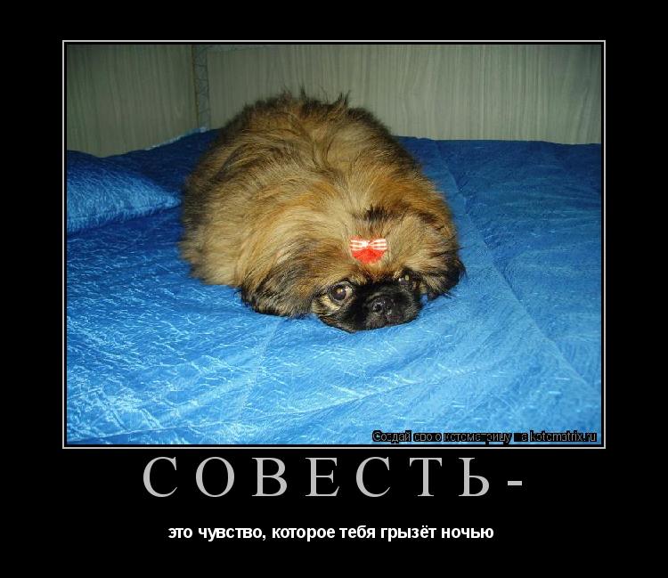 Котоматрица: Совесть- это чувство, которое тебя грызёт ночью 