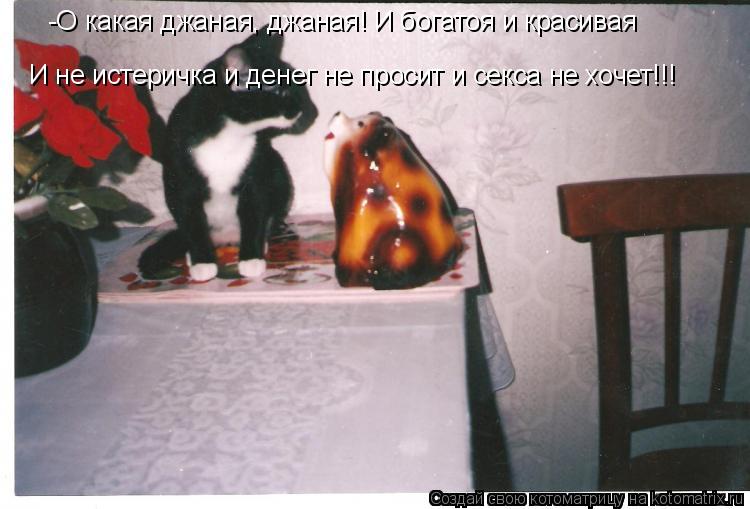 Котоматрица: -О какая джаная, джаная! И богатоя и красивая  И не истеричка и денег не просит и секса не хочет!!!