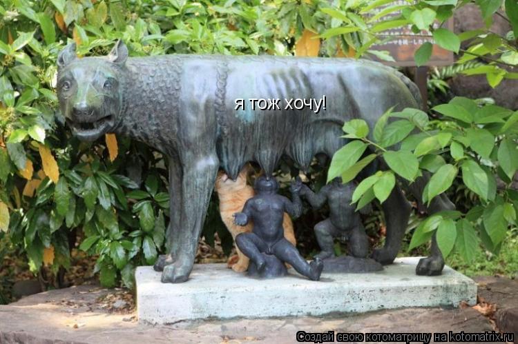 я тож хочу!... Котоматрица: я тож хочу!