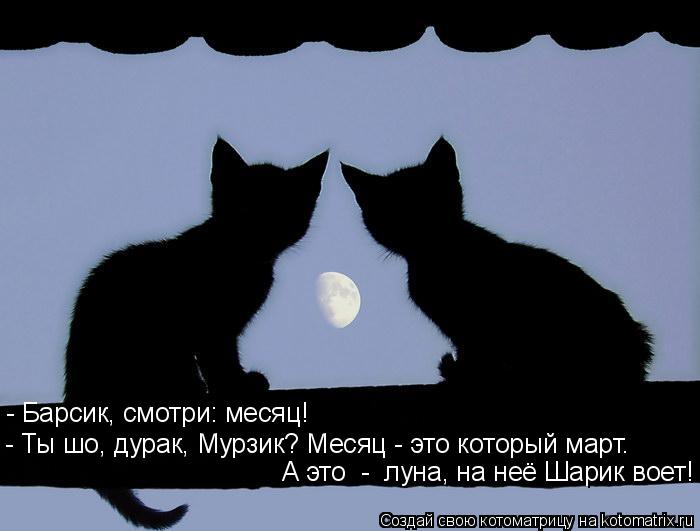 - Барсик, смотри: месяц! - Ты шо, дурак, Мурзик? Месяц - это который март. А это - луна, на неё Шар... Котоматрица: - Барсик, смотри: месяц! - Ты шо, дурак, Мурзик? Месяц - это который март. А это - луна, на неё Шарик воет!