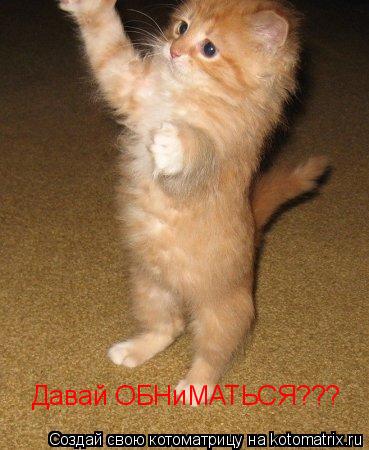 Давай ОБНиМАТЬСЯ???... Котоматрица: Давай ОБНиМАТЬСЯ???
