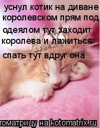 уснул котик на диване королевском прям под одеялом тут заходит королева и лажиться спать тут вдруг ... Котоматрица: уснул котик на диване королевском прям под одеялом тут заходит королева и лажиться спать тут вдруг она