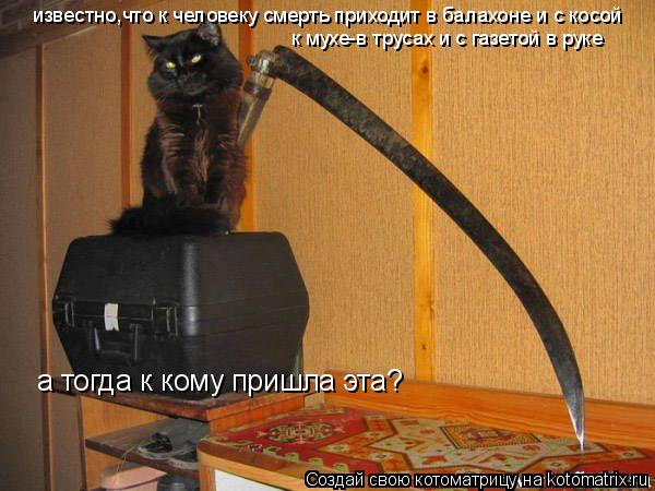 известно,что к человеку смерть приходит в балахоне и с косой к мухе-в трусах и с газетой в руке а тог... Котоматрица: известно,что к человеку смерть приходит в балахоне и с косой к мухе-в трусах и с газетой в руке а тогда к кому пришла эта?