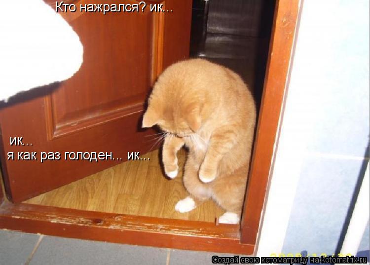 Кто нажрался? ик... я как раз голоден... ик... ик...... Котоматрица: Кто нажрался? ик... я как раз голоден... ик... ик...