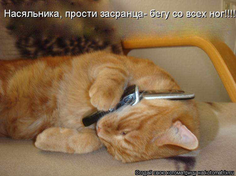 Котоматрица: Насяльника, прости засранца- бегу со всех ног!!!!