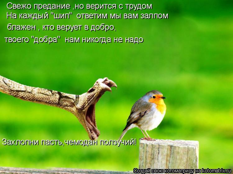 Свежо предание ,но верится с трудом На каждый "шип" ответим мы вам залпом На каждый "шип" ответим... Котоматрица: Свежо предание ,но верится с трудом На каждый "шип" ответим мы вам залпом На каждый "шип" ответим мы вам залпом блажен , кто верует в добро,