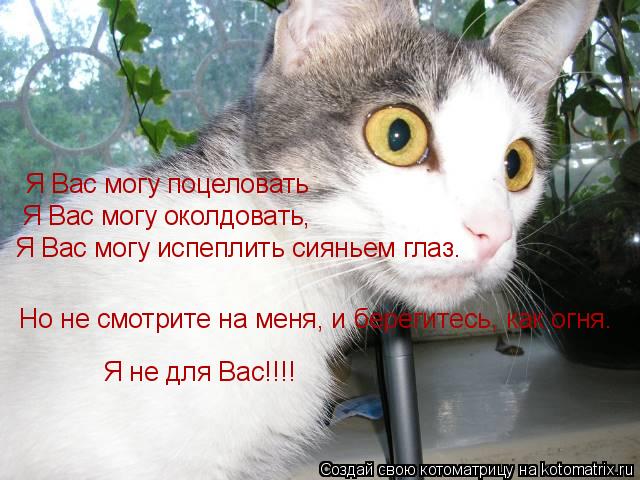 Я Вас могу поцеловать Я Вас могу околдовать, Я Вас могу испеплить сияньем глаз. Но не смотрите на мен... Котоматрица: Я Вас могу поцеловать Я Вас могу околдовать, Я Вас могу испеплить сияньем глаз. Но не смотрите на меня, и берегитесь, как огня. Я не для Вас!!!!