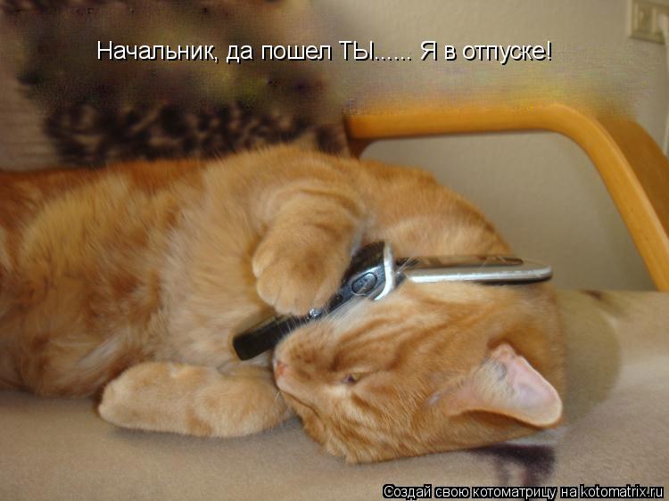 Начальник, да пошел ТЫ...... Я в отпуске!... Котоматрица: Начальник, да пошел ТЫ...... Я в отпуске!