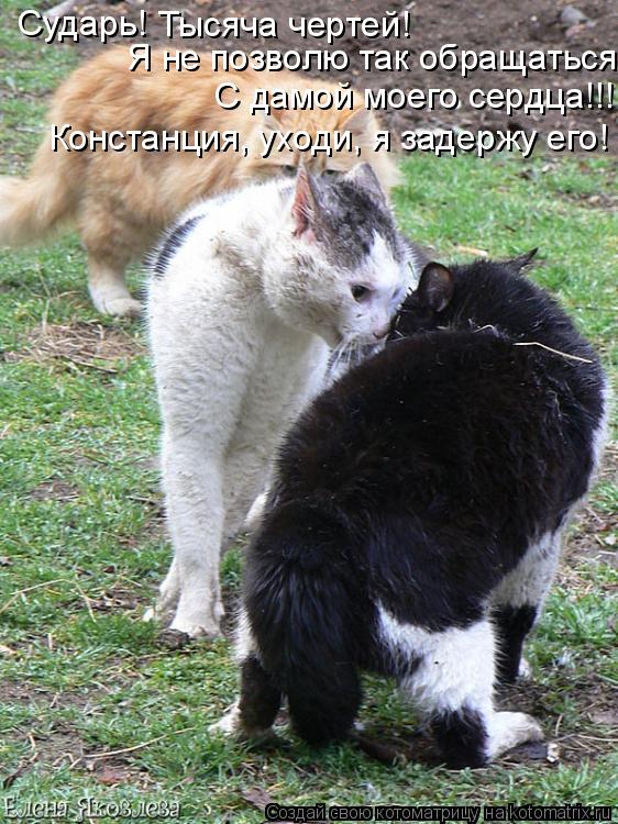 Сударь! Тысяча чертей! Я не позволю так обращаться С дамой моего сердца!!! Констанция, уходи, я задер... Котоматрица: Сударь! Тысяча чертей! Я не позволю так обращаться С дамой моего сердца!!! Констанция, уходи, я задержу его!